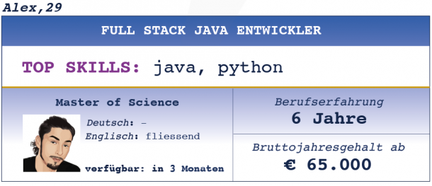 Full Stack Java Entwickler