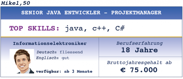 Senior Java Entwickler - Projektmanager