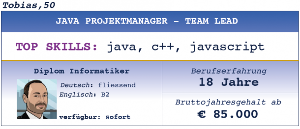 Java Projektmanager Team Lead